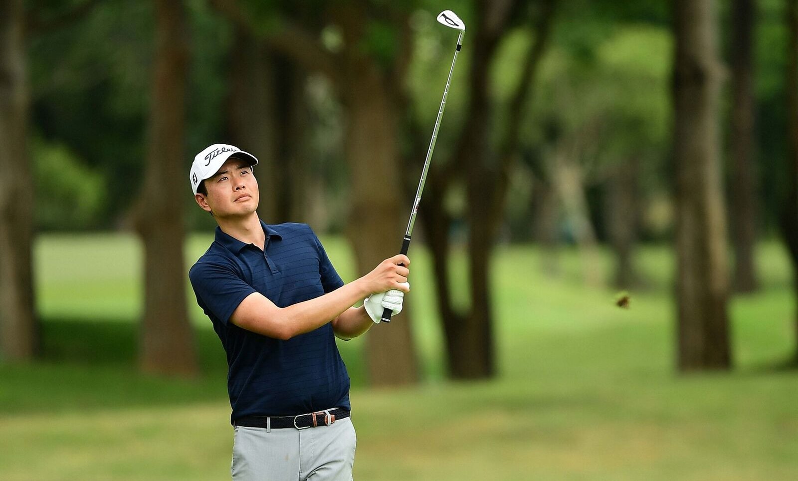 Michael Choi